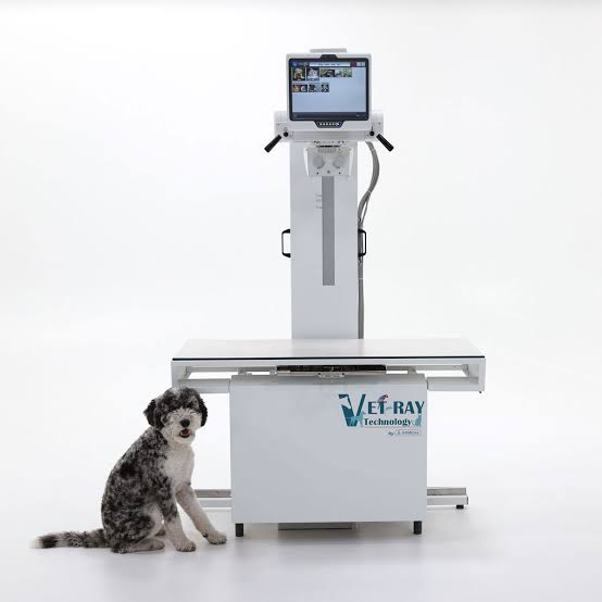 Raio x digital veterinario